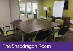 The Snapdragon Room
